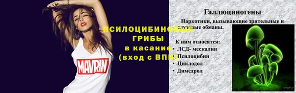 мескалин Медвежьегорск
